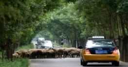 Anreise in die Toskana