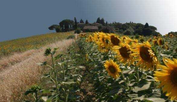 Landschaft bei Borgo San Lorenzo
