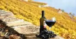 Wein aus der Toskana